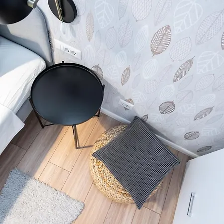 Spacious 2 Bdr Flat In The Old Town *